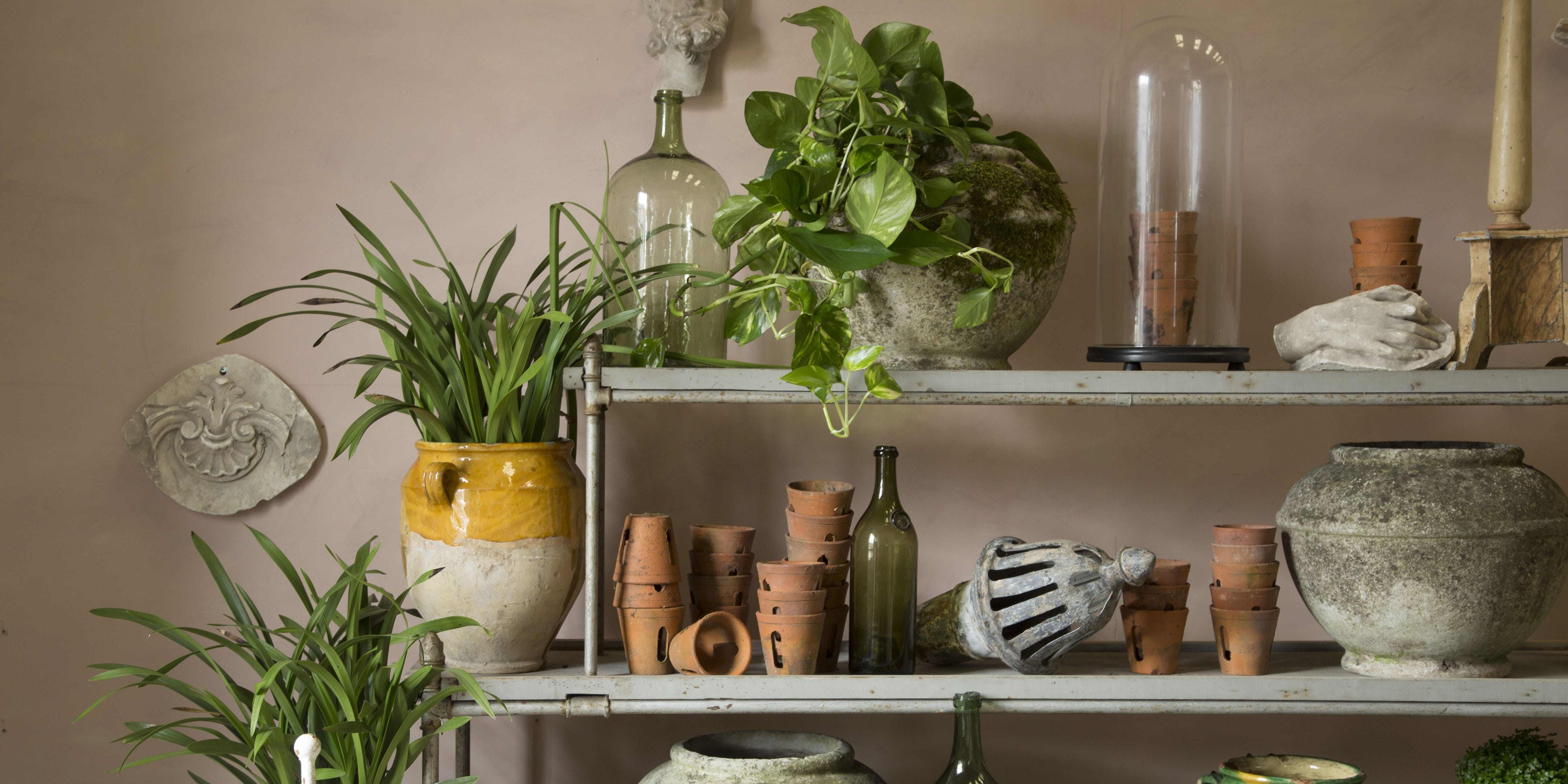 Display Pieces & Shelving