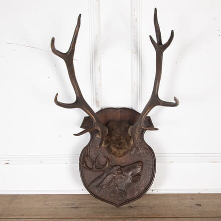 19th Century Antlers Mounted on Carved Shield DA8525864