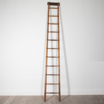 19th Century French Library Ladder OF4028670