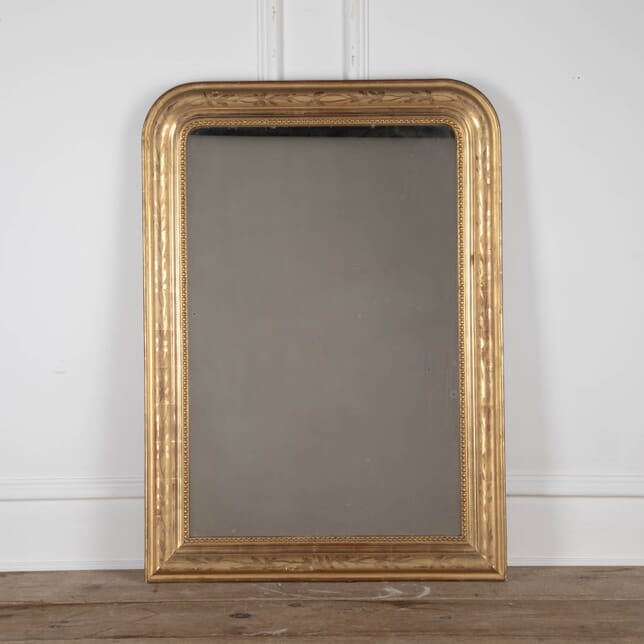 19th Century Gilt Mirror with an Arched Top MI8527508