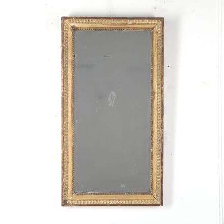 19th Century Italian Rectangular Gilded Mirror MI2824531