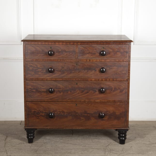 19th Century Painted Pine Chest of Drawers CB0524251
