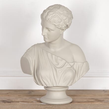 19th Century Painted Plaster Bust DA0525925