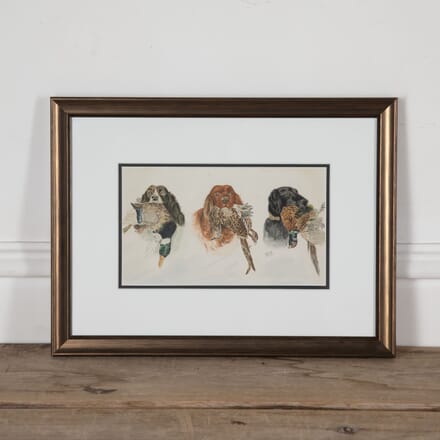 19th Century Watercolour Painting of Working Dogs WD8826992