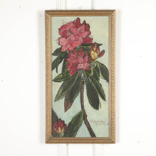 20th Century English School Study of Rhododendron WD5718802