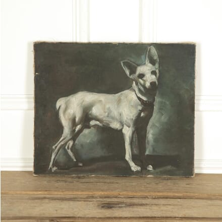 20th Century French Oil On Canvas Painting of a Dog WD8030813