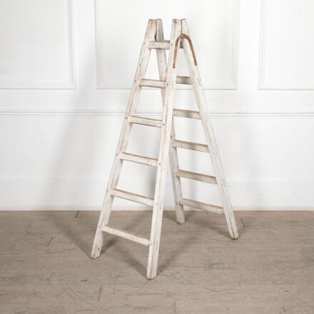 20th Century French Painted Ladder DA2027177
