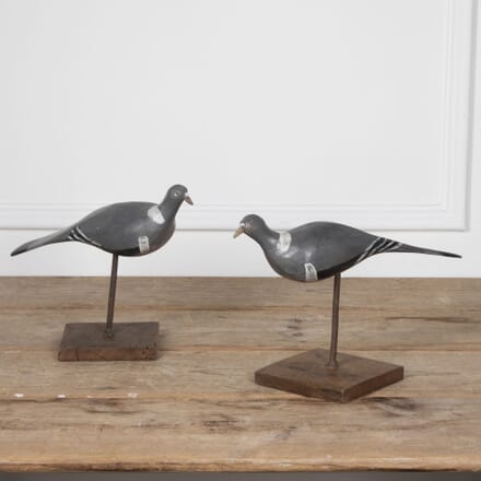 20th Century Pair of Decoy Pigeons DA5031241