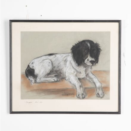 20th Century Pastel Drawing of a Spaniel WD9031012