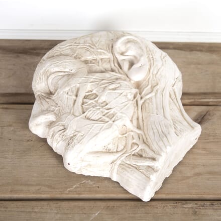20th Century Plaster Cast Sculpture of a Flayed Male DA8018939