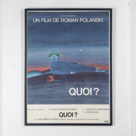 20th Century Roman Polanski Film Poster DA2927097