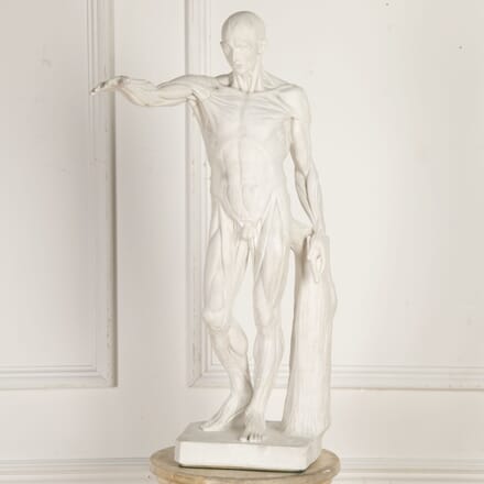 20th Century Plaster Sculpture of a Flayed Figure DA8019007