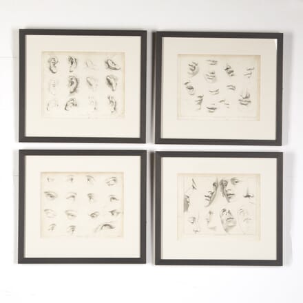 Set of Four Framed Engravings of Facial Features from Ackermann's 'Cabinet of Arts' WD8015115