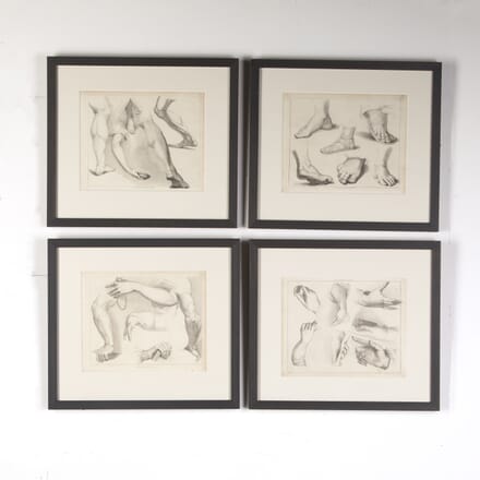 Set of Four Engravings of Limbs from Ackermann's 'Cabinet of Arts' WD8015118