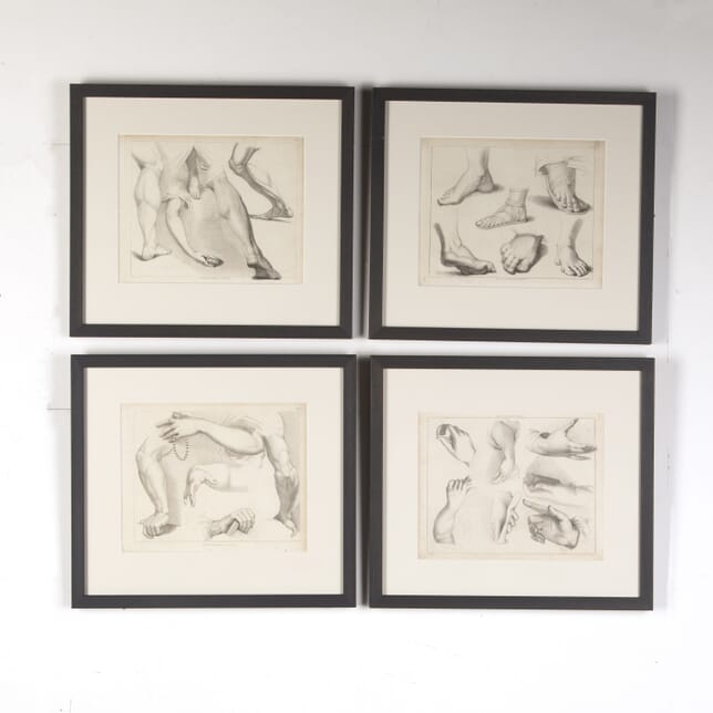Set of Four Engravings of Limbs from Ackermann's 'Cabinet of Arts' WD8015118