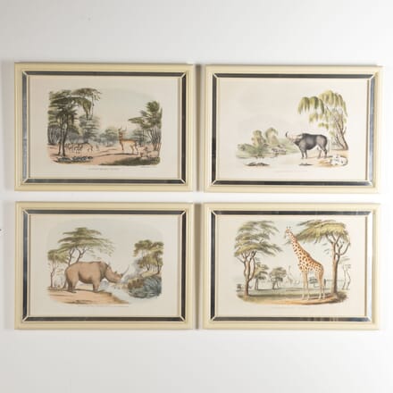 Series of Four 19th Century African Wildlife Prints by William Cornwallis Harris WD7621806