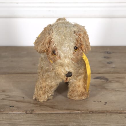 Charming French Fluffy Toy Dog DA1518955