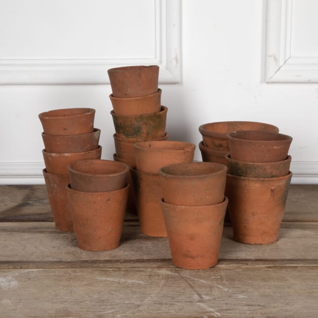 Collection of Early 20th Century English Terracotta Pots GA3728515