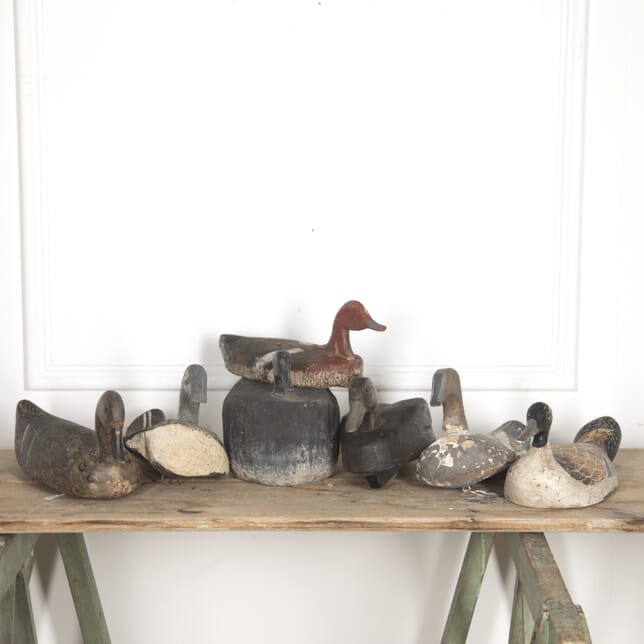 Collection of Seven Decoy Ducks DA1515405
