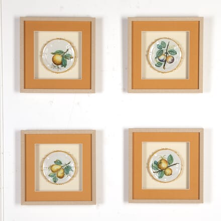 Set of Four 19th Century Framed Majolica Plates WD1820369