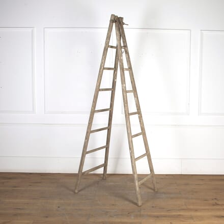 20th Century French Decorators Ladder DA8523567