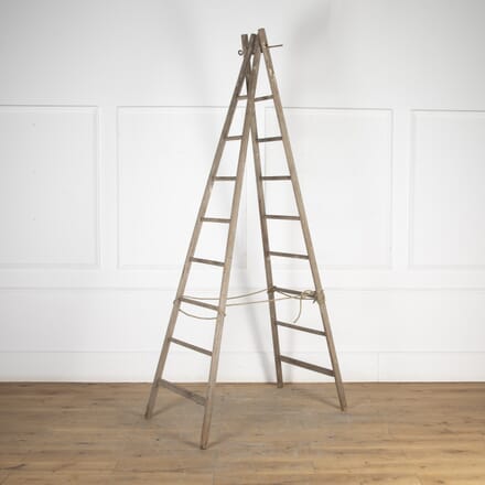 20th Century French Decorators ladder DA8523566
