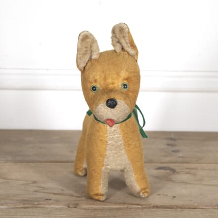 French Toy Dog DA1518965