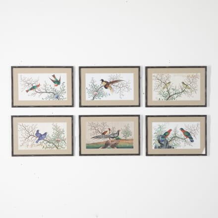 Set of Six 19th Century Chinese Exotic Bird Paintings WD2830988