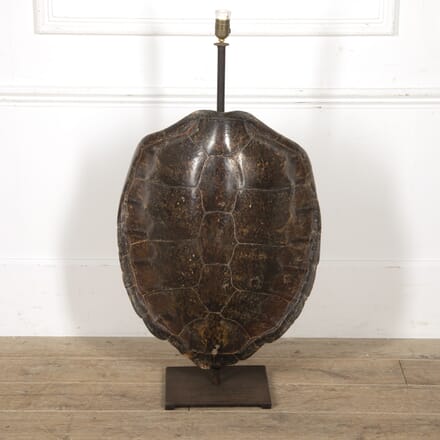 Large Turtle Shell Lampbase LL1517725