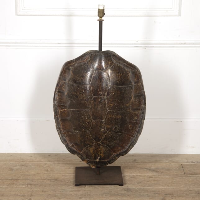Large Turtle Shell Lampbase LL1517725