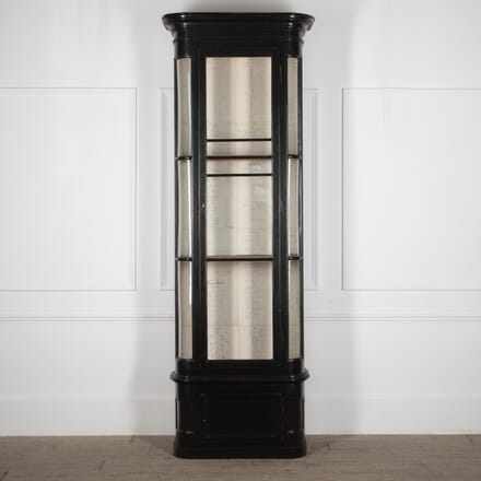 Late 19th Century Glazed Cabinet CU9930173