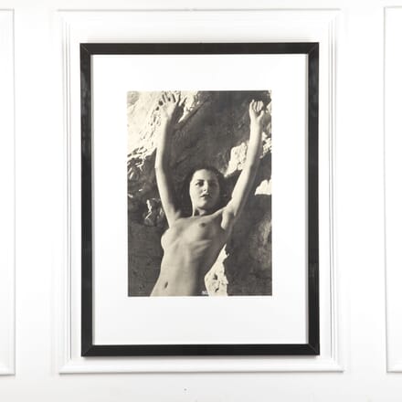 N is for Nude by Peter Blake WD2921749