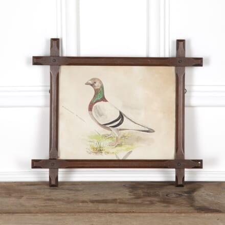 20th Century Naive Watercolour of a Pigeon WD6226293