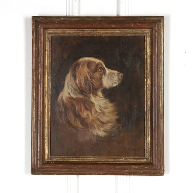 Oil on Canvas of a Spaniel WD3718049