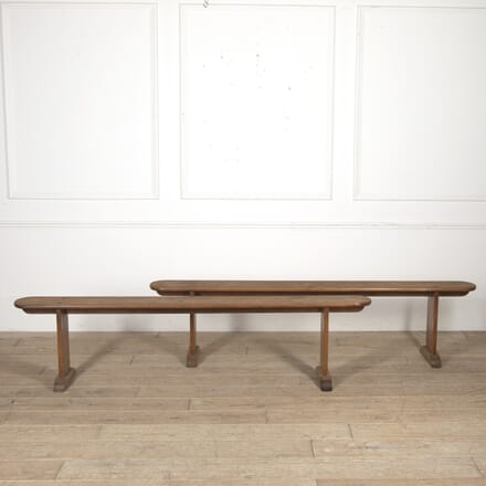 Pair of 19th Century French Elm Benches SB8819500
