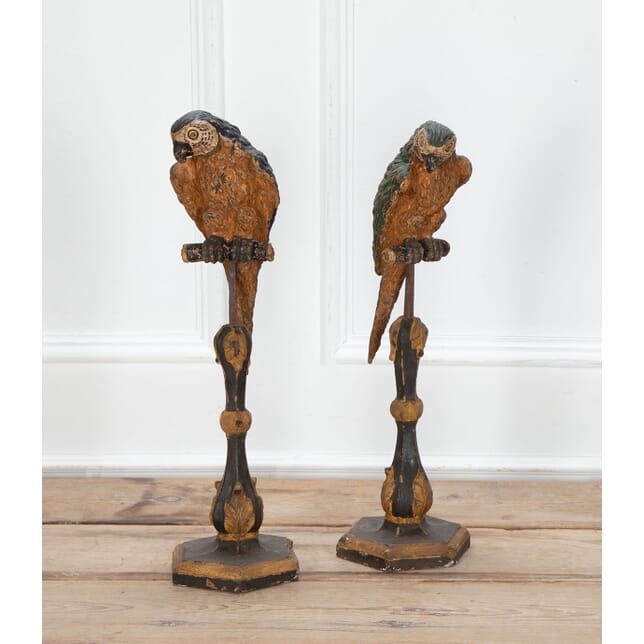 Pair of 19th Century Tyrol Hand Carved Wooden Parrots DA2334357