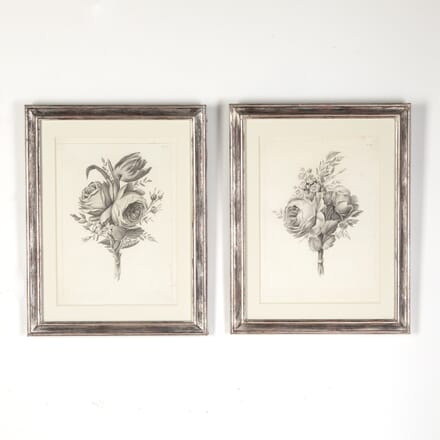 Botanical Engravings WD7615189