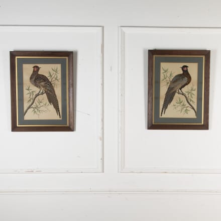 Pair of Early 20th Century Oak Framed Pictures of Pheasants WD8225288