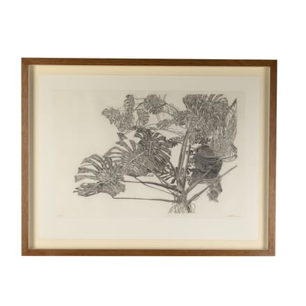 "Philodendron" Aquatint by Sam Szafran WD7616430