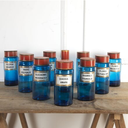 Set of Ten Late 19th Century Blue Glass Apothecary Jars DA3420483