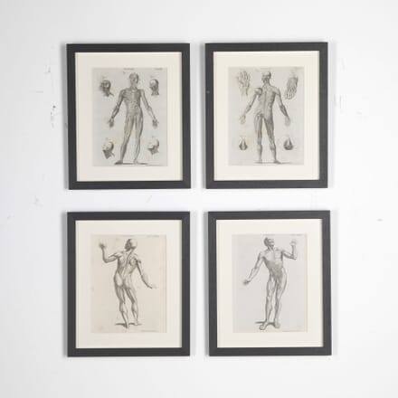 Set of 18th Century Georgian Ophiological Engravings WD3730897
