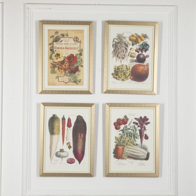 Set of Four 20th Century French Fruit and Vegetables Prints DA8823059
