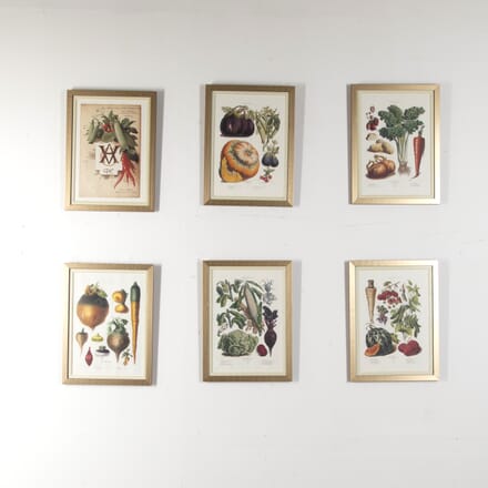 Set of Six 20th Century French Fruit and Vegetables Prints WD8823058