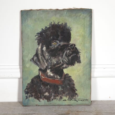 20th Century French Poodle Painting WD1521660