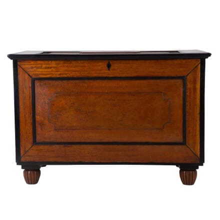 19th Century Satinwood and Ebony Chest OF0659358