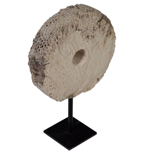 Fossilised Coral Wheel on Stand