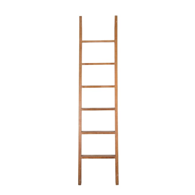 20th Century Library Ladder