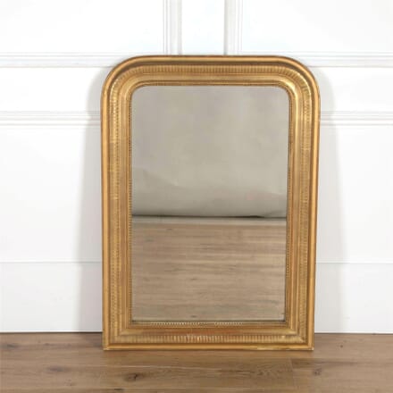 Water Gilded French Mirror MI7161745