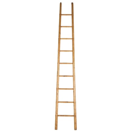 19th Century Ladder OF107805