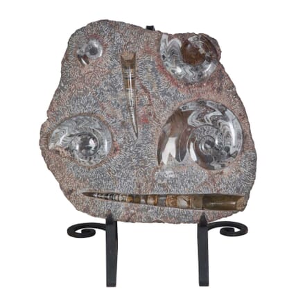 Fossil Sculpture on Stand DA5256167